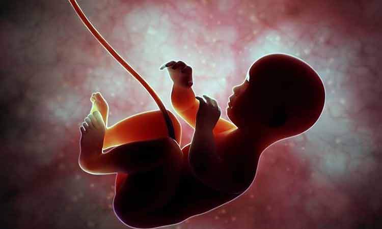 مرگ ۷ مادر براثر سقط جنین عمدی در ۱۴۰۳