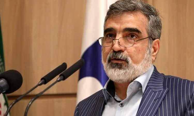 ایران تنها کشوری نیست که غنی‌سازی می‌کند و در عین حال سلاح هسته‌ای ندارد