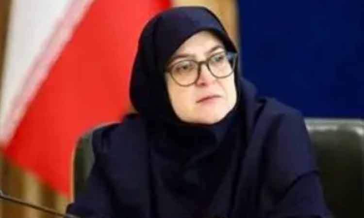 مهاجرانی: بسیاری از سدهای کشور آب کافی برای تولید انرژی برق‌آبی ندارند
