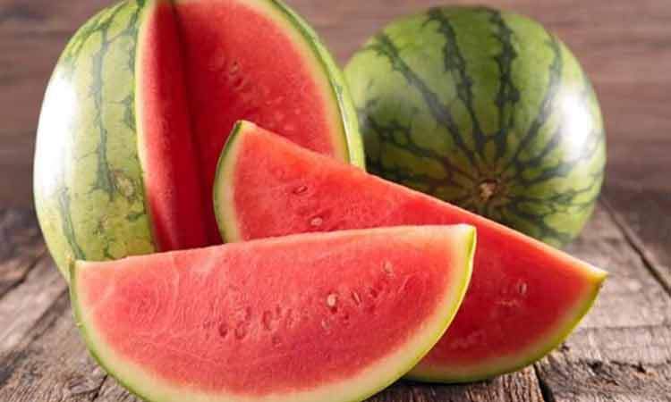 واکنش فلسفی به ادعای نماینده دومای روسیه درباره هندوانه ایرانی