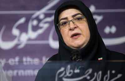 سخنگوی دولت: تندروی به معنای پیروی از ولایت نیست