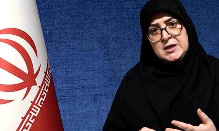 مهاجرانی: براساس منافع ملی درباره مذاکرات تصمیم می گیریم