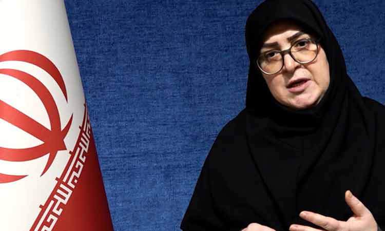 دولت به استرداد لایحه فضای مجازی رای داد