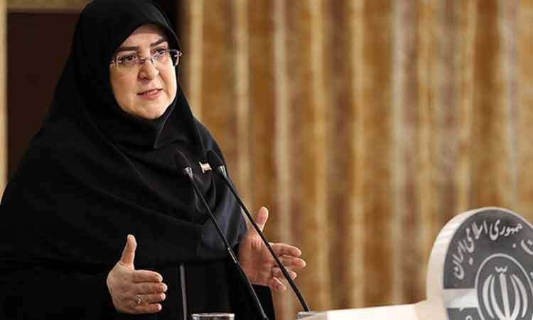 مهاجرانی: سرمایه‌گذاری در انرژی‌های نو را ادامه می‌دهیم