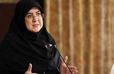 مهاجرانی: سرمایه‌گذاری در انرژی‌های نو را ادامه می‌دهیم