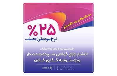 تامین مالی 34.000 میلیارد ریالی واحدهای تولیدی توسط بانک رفاه کارگران در دولت چهاردهم